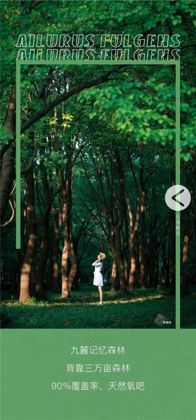 怎么跟别人说圆滑话,我不懂这是什么意思 ,我这个人说话很直接不知道怎么去说圆滑话?-专业问答平台,满足你的求知欲